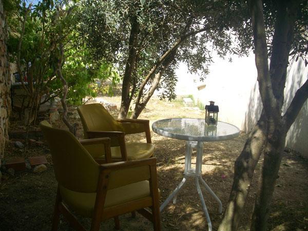 נאוסה Studio Home מראה חיצוני תמונה